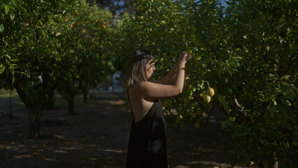 A young, beautiful hispanic woman picks lemons in a lush garden on a farm in italy, surrounded by green trees and sunlight filtering through the leaves.