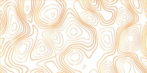 Topographic canyon geometric map relief texture with curved layers and shadow. abstract White background with a beautiful pattern, Topographic contour lines vector map seamless pattern vector.	
