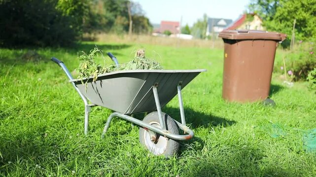 Metal wheelbarrow in the garden. Garden wheelbarrow full of dry leafs and branches. Autumn garden theme. garden wheelbarrow with leaves or cleaning city park in spring at sunny day. High quality
