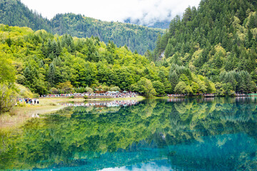 Fototapeta premium Five Flower Lake in Jiuzhaigou National Park, Sichuan, China.