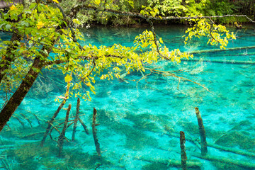 Five Flower Lake in Jiuzhaigou National Park in Summer.