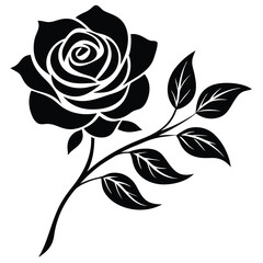 Fototapeta premium Rose-floral-branch-on-white-background