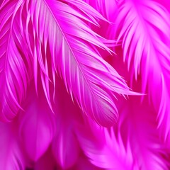 Obraz premium pink feather background