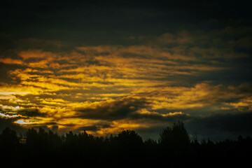 Fototapeta premium Sunset with dark clouds casting the silhouette of the forest in a dramatic golden glow. The rich colors of the sky contrast sharply with the dark landscape below