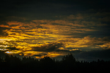 Fototapeta premium Sunset with dark clouds casting the silhouette of the forest in a dramatic golden glow. The rich colors of the sky contrast sharply with the dark landscape below