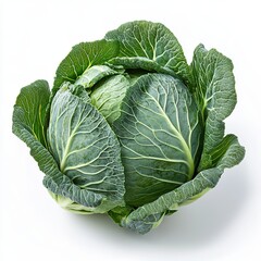 Fototapeta premium Cabbage on solid white background, product presentation.