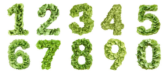 Numbers 0 1 2 3 4 5 6 7 8 9 set collection made from green lettuce leaves isolated on transparent background, PNG. Clipart template 
