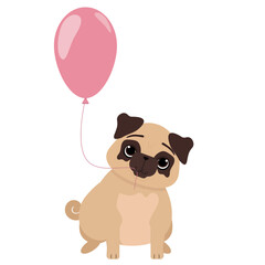 Cute pug puppy with a balloon.