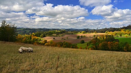 Fototapeta premium Beautiful autumn landscape with colorful nature in the Czech Republic in autumn time.