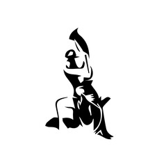 silhouette of a person