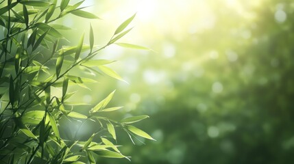 A serene close-up of bamboo leaves with a soft, blurred background, evoking tranquility.