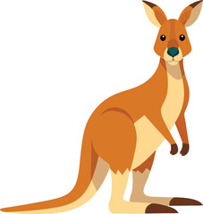 kangaroo vector