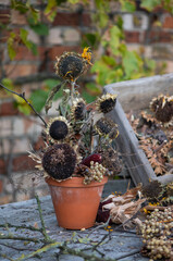 Herbstdekoration selber machen, getrocknete Sonnenblumen dekorieren, Landhaus, Gartendekoration,...