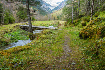 Wanderweg über eine Holzbrücke am herbstlichen Waldrand