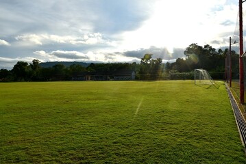 a hungry stray cat sitting quietly outdoors in the gentle glow of the evening. The serene atmosphere of the nice day contrasts with the cat's longing gaze, highlighting its solitude and resilience. Su