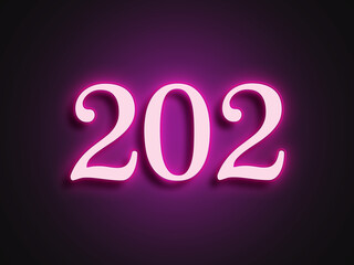 Pink glowing Neon light text effect of number 202.