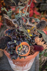 Herbstdekoration selber machen, getrocknete Sonnenblumen dekorieren, Landhaus, Gartendekoration,...