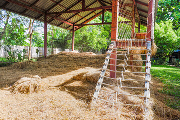 children's playground with a variety of play structures,adventure playground in jungle,Slide in City Park with Green Trees in Bright Day,The playground is surrounded by grass and trees,copy space.