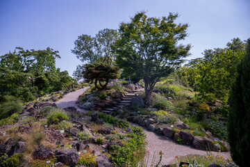 Copenhagen Botanical Garden In Denmark