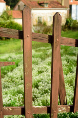 Arbustos de flores silvestres tras valla de piquetes de madera