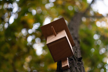 birdhouse attached to a tree in the garden