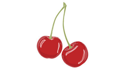Sweet cherry artwork. Cherry fruit print. Organic food artwork for for t-shirt. 