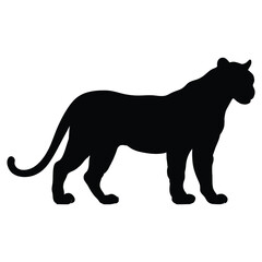 Obraz premium Cheetah Silhouette