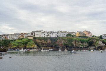 Naklejka premium Casas sobre acantilado y puerto en Tapia de Casariego, Asturias