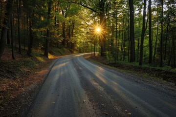 Fototapeta premium Empty asphalt road and green woods at sunset