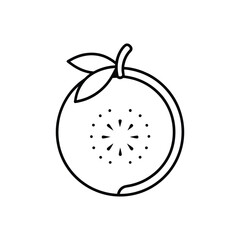 Beal fruit line icon. Bael exotic juicy fruit whole and cut vector isolated icon.	