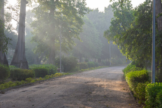 Walking raod in the garden in lahore pakistan