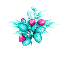 Forest berries and plants