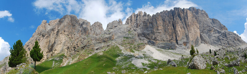 Alpi . Dolomiti - Sassolungo - Panoramica