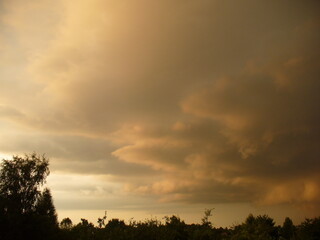 Dark brown and beige stormy sky with rainy threatening clouds over black horizon with trees - natural weather composition. Topics: storm, meteorology, atmosphere, air space, season, summer
