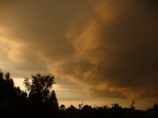 Dark brown and beige stormy sky with rainy threatening clouds over black horizon with trees - natural weather composition. Topics: storm, meteorology, atmosphere, air space, season, summer