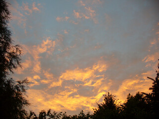 Colorful sky and clouds lit in orange during sunset over dark trees - natural composition. Topics: beauty of nature, evening, dusk, weather, meteorology, atmosphere, air space, season, sunlight