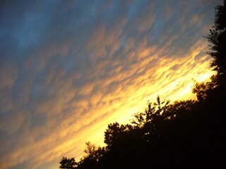 Colorful sky and clouds lit in yellow and orange during sunset over dark trees - natural composition. Topics: beauty of nature, evening, dusk, weather, meteorology, atmosphere, air space, season