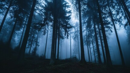 Fototapeta premium Mystical Forest in Blue Fog at Dusk