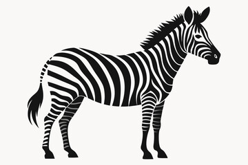 Zebra silhouette vector illustration on white background