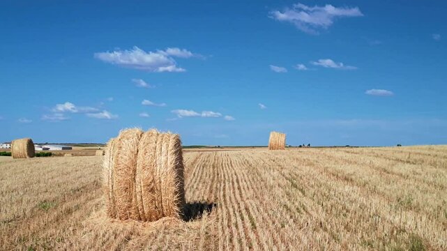 BALAS DE PAJA EN CAMPO