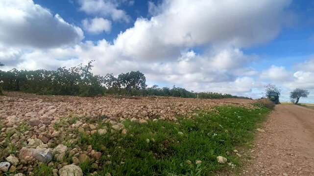 PAISAJE AGRICOLA CON TRACTOR