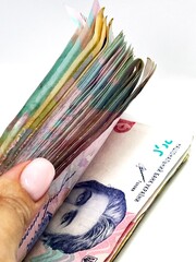 Ukrainian money hryvnia close-up on white background