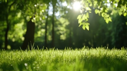 A beautiful sunlit meadow brimming with lush green grass and trees, evoking a sense of peace,...