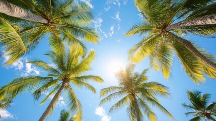 Obraz premium Tropical Paradise: Sun-drenched palm trees reach for a vibrant blue sky, creating a breathtaking view of paradise. Escape to tranquility and feel the warmth of the sun on your skin.
