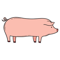 Hand drawn cartoon pig on a white background.