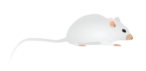 White mouse isolated. vector illustration