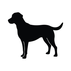 This is Labrador retriever Dog silhouette 