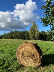 hay bales in the field © Dagmara Golebiowska
