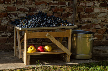 grapes in a basket