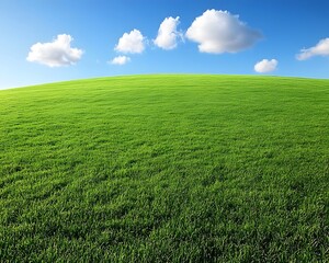 Obraz premium A vast green grassland under the blue sky, with clouds scattered in the distance and no trees on it. The background is clean and bright, presenting an endless expanse of emerald-green fields